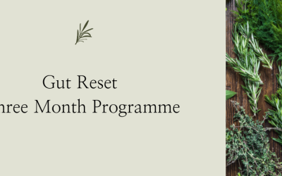 New Gut Reset Three Month Programme