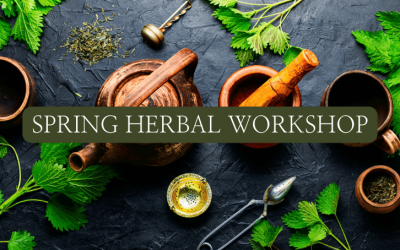 Cheshire herb workshop – Saturday 23rd March