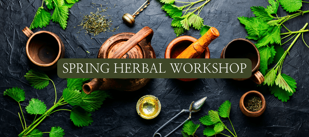 Cheshire herb workshop – Saturday 23rd March