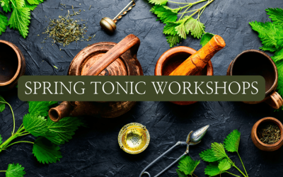 Cheshire herb workshops – Saturdays 2nd and 23rd March