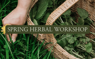 Cheshire herb workshop – Saturday 11th May