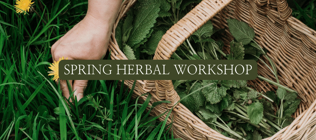 Cheshire herb workshop – Saturday 11th May