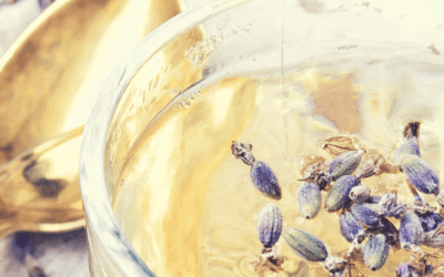 New herb workshop ‘Into the Essence of Herbal Infusions’ at Plumleys Garden Centre, Cheshire