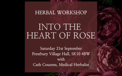 Autumn Equinox Herb Workshop – Into the Heart of Rose, Saturday 21st September