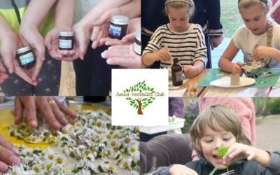 Junior Herbalist Club Level One Easter School in Prestbury, Cheshire 30th March – 3rd April 2026