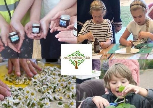 Junior Herbalist Club Level One Easter School in Prestbury, Cheshire 30th March – 3rd April 2026