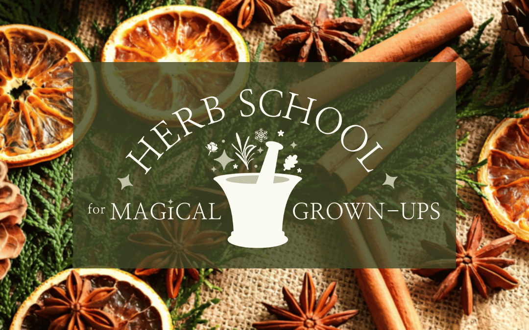Green Crafty Herbal Christmas workshop – Thursday 4th December