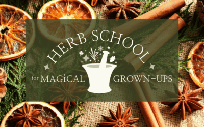 Green Crafty Herbal Christmas workshop – Thursday 4th December